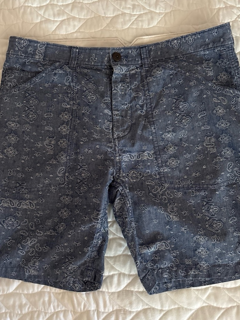 Steven Alan Men's Blue Paisley Cotton Chino Shorts Flat Front Pockets Zip-Size34